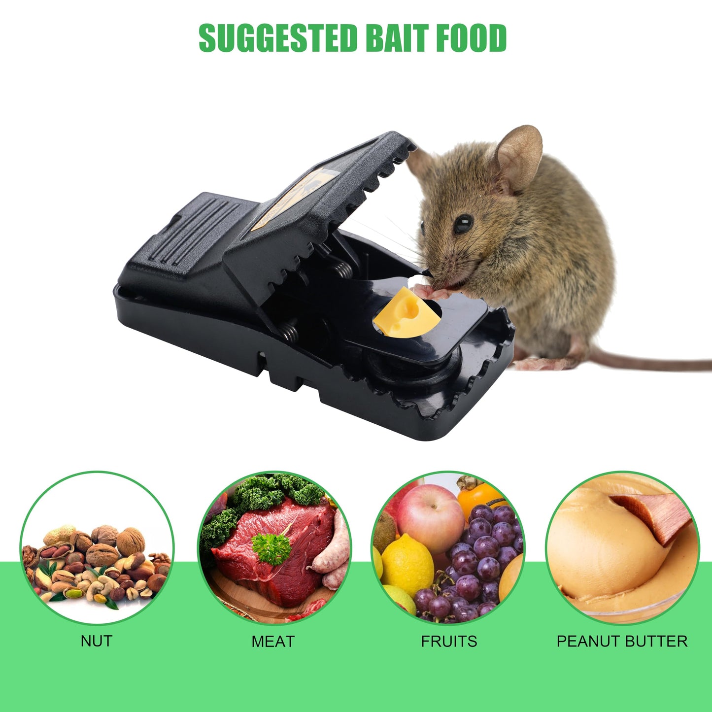 Rat Trap Big Size Mouse Trap High Quality Plastic